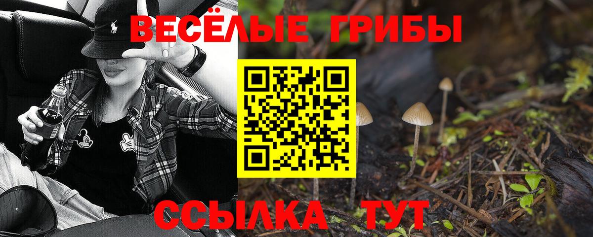 Галлюциногенные грибы прущие грибы  Галлюциногенные грибы Psilocybe  даркнет сайт  Ярославль  Вход с VPN 